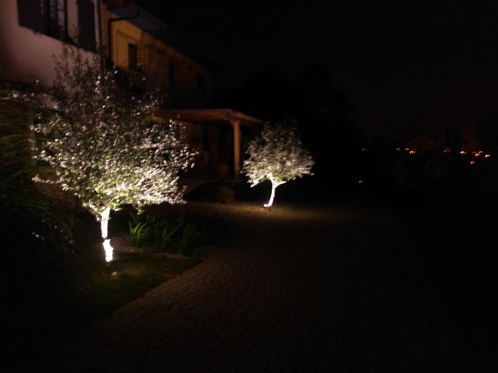 Quinta Do Senhor Villa Braga Ngoại thất bức ảnh