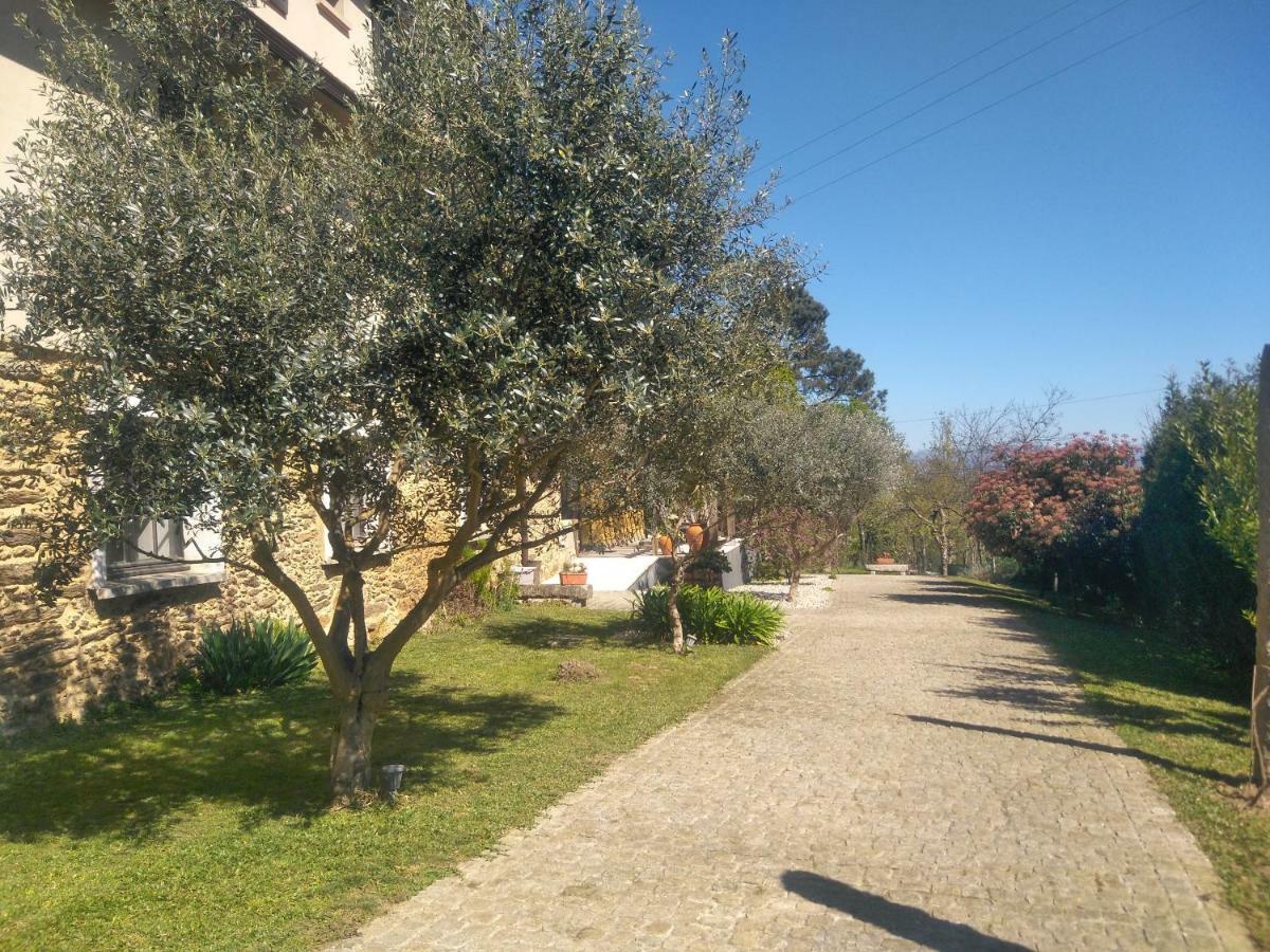 Quinta Do Senhor Villa Braga Ngoại thất bức ảnh